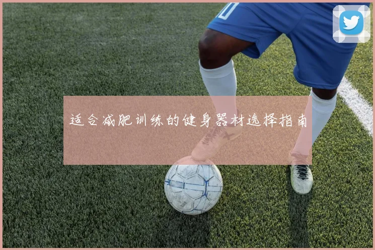 适合减肥训练的健身器材选择指南