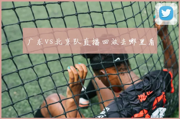 广东vs北京队直播回放去哪里看