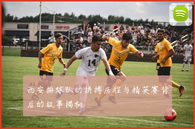 西安排球队的拼搏历程与精英赛背后的故事揭秘
